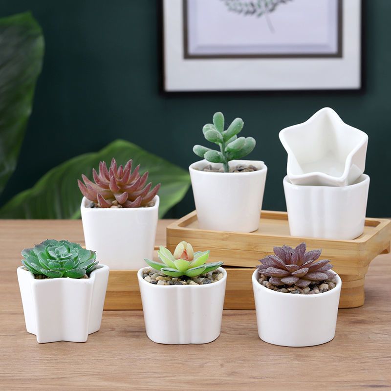 创意陶瓷多肉花盆陶瓷简约小清新ins风家居北欧白色小多肉盆