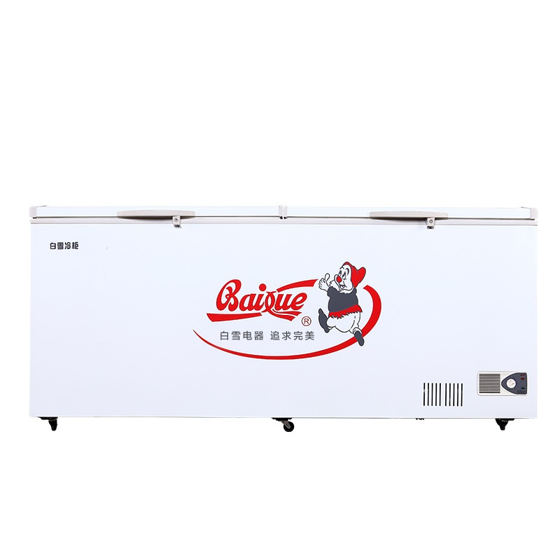 白雪(Baixue)830升BD/C-830FDS大型商用冷柜 大冰柜 茶叶柜 海鲜柜