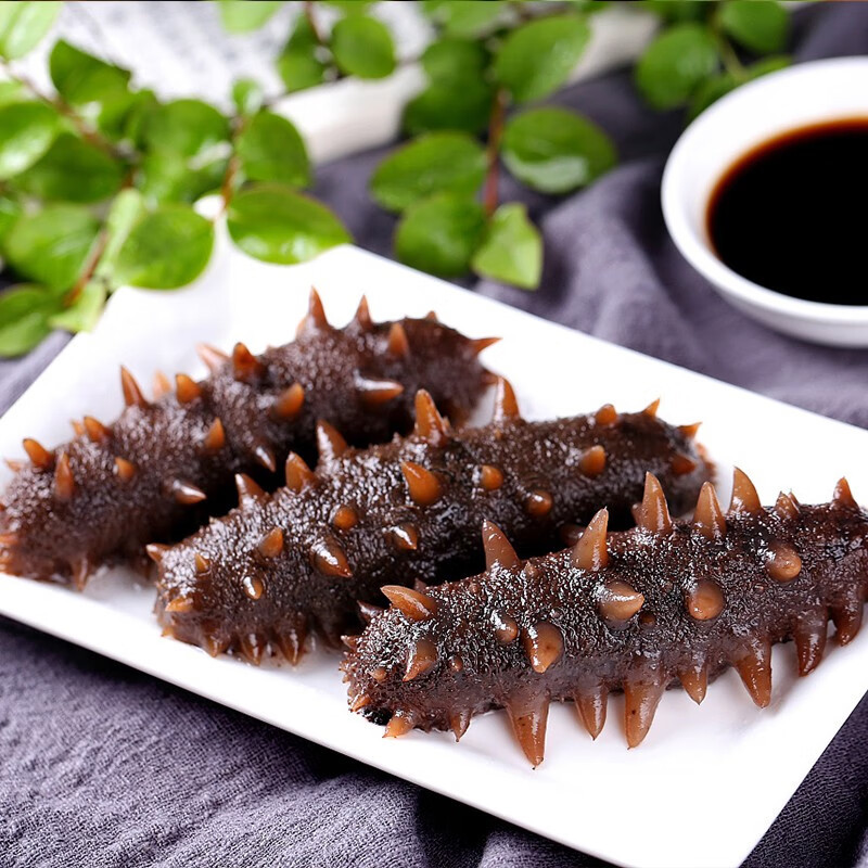 星龙港 大连淡干海参——十全十美(一级品)