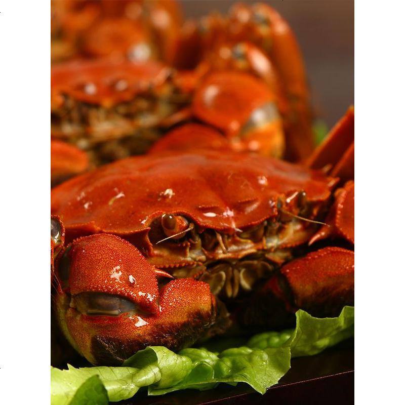 个人店其他品牌礼盒套装苏州市相城区阳澄湖镇蟹大脚蟹业有限公司