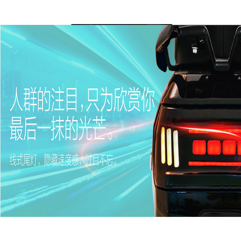 新日丽人系列—速腾S2 60V20Ah