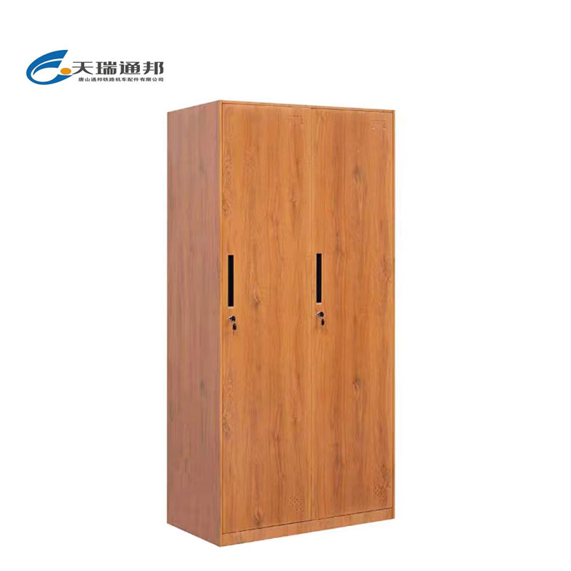 天瑞通邦 钢制套色更衣柜/文件柜 组 二门黄木纹900*500*1850mm/组