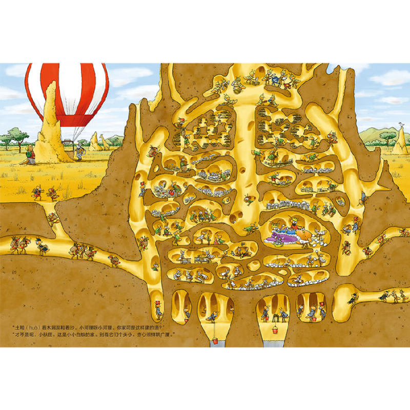 正版新书]这是谁的家?(12种动物居所大揭秘)鹦鹉螺(中国环境高清大图