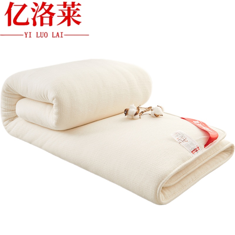 亿洛莱 被子 180*220cm3斤 床高清大图