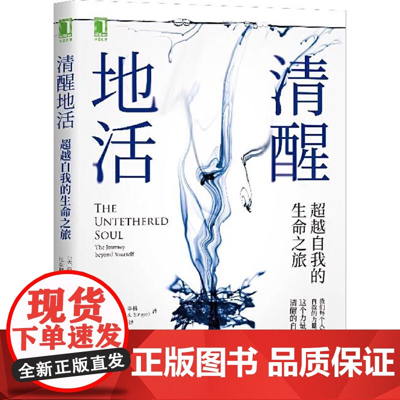 清醒地活超越自我的生命之旅 迈克尔辛格著冥想大师探索内心认识自我内在能量来源和觉察束缚心灵成长阻碍觉察清醒的自我高清大图