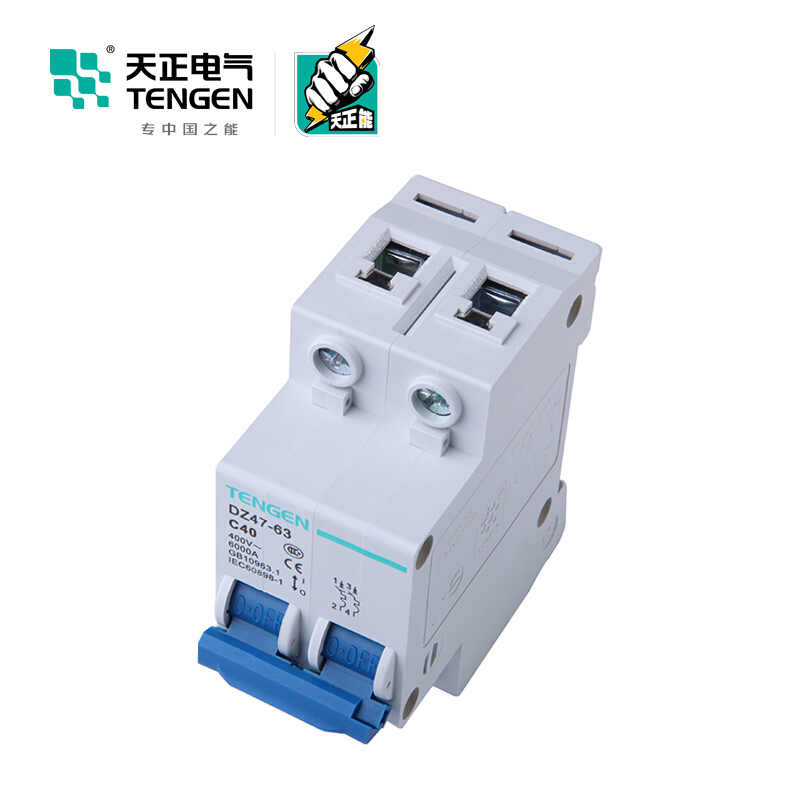 天正电气 空气开关 DZ47-63 2P C 40A 4.5KA 01060020268 微型断路器