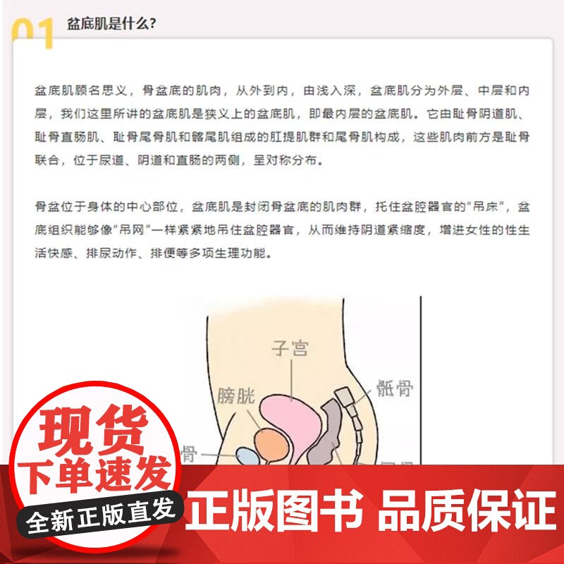 正版 女性盆底康复学 盆底功能障碍性疾病康复盆底肌方案骨盆骨骼肌肉解剖康复运动教程训练 四川大学出版社9787569高清大图