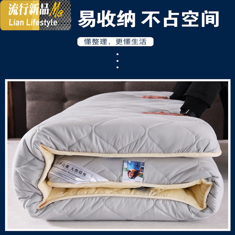 日式榻榻米床垫地铺睡垫懒人床加厚防潮可折叠地垫单人打地铺 三维工匠高清大图