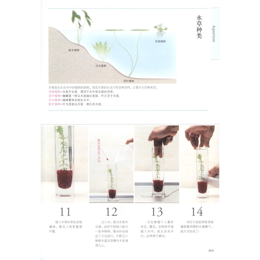 [醉染正版]正版学做家庭植物微景观 美植·美家 养花的书花园设计装修教程 花卉植物绿化植盆栽造景设计私家庭院室内园艺素材高清大图
