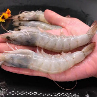 【大虾！4斤仅76.9元】顺丰速运 南美白虾（60-70）原装进口海鲜基围虾白虾 生鲜（净重2.8-3.2斤）