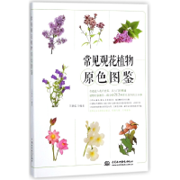 音像常见观花植物原色图鉴编者:王意成