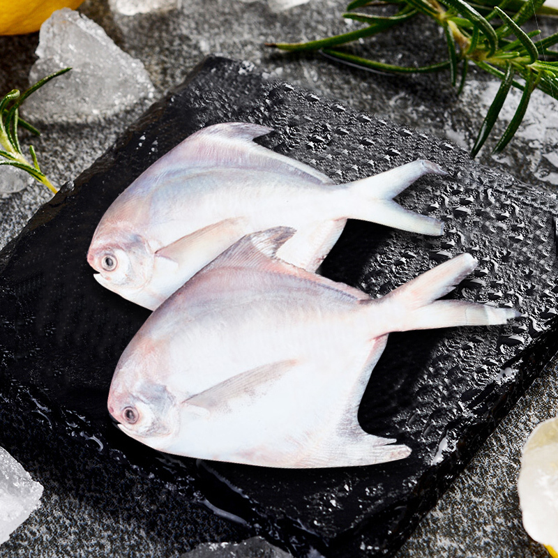 三都港 冷冻东海银鲳鱼 550g 5条 袋装 平鱼 海鲜水产