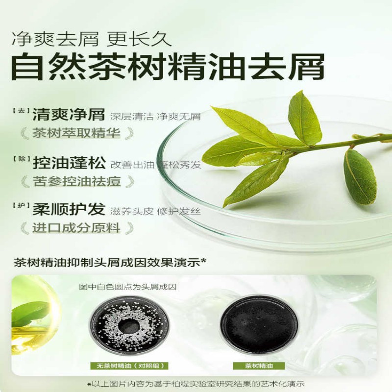 柏缇清爽去屑洗发露500ml(专研系列)(双瓶装)高清大图