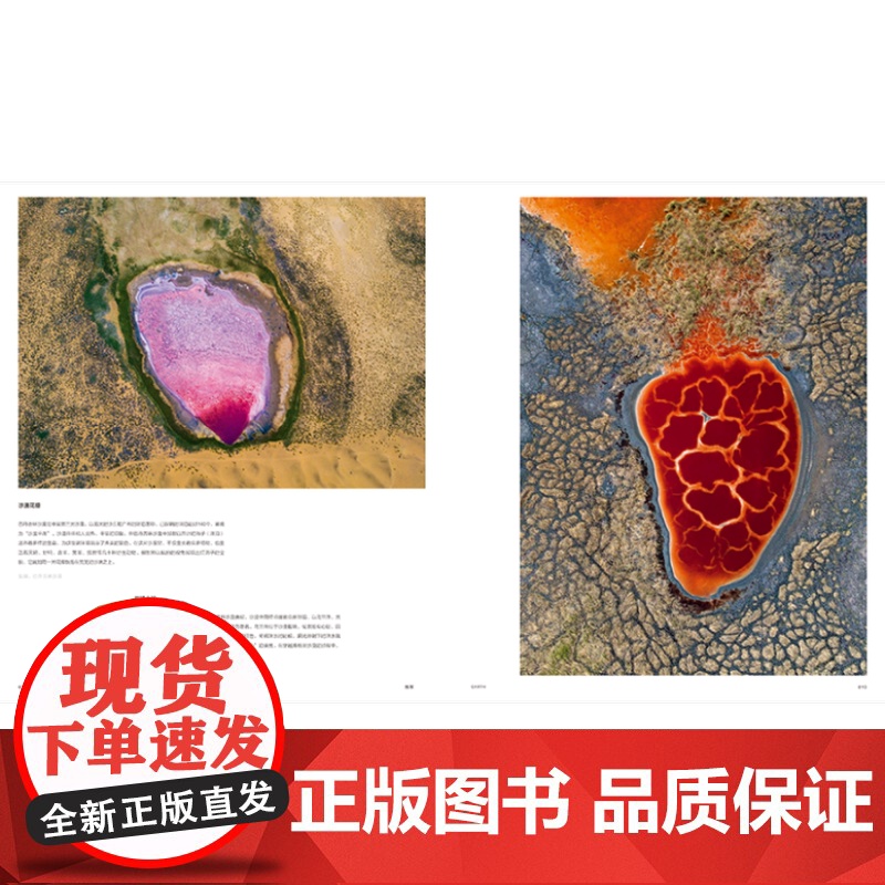 生而为野中国野生生物摄影年赛摄影作品精选 野生动物摄影集 中国国家地理图书高清大图