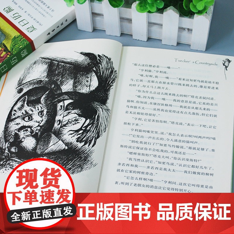 国际大奖小说升级版塔克的郊外新蕾出版社小学生三四五六年级课外书必读老师阅读人教版纽伯瑞儿童文学金奖系列国际安徒生奖高清大图