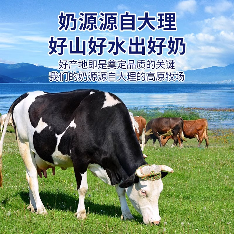 云南皇氏来思尔海盐青柠小酸奶180gx12瓶大理风味 网红风味酸牛奶 冷链运输新鲜到家