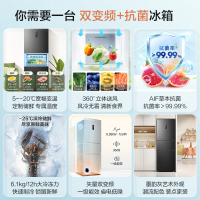 容声(Ronshen)252升三门多门电冰箱变频一级能效节能家用风冷无霜租房小型超薄冰箱 BCD-252WD18NP