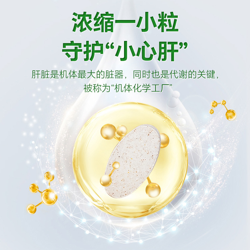 北京同仁堂 水飞蓟籽油人参葛根片压片糖果100片官方正品