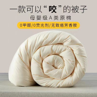 惠居尚品 大豆纤维被芯(2米)