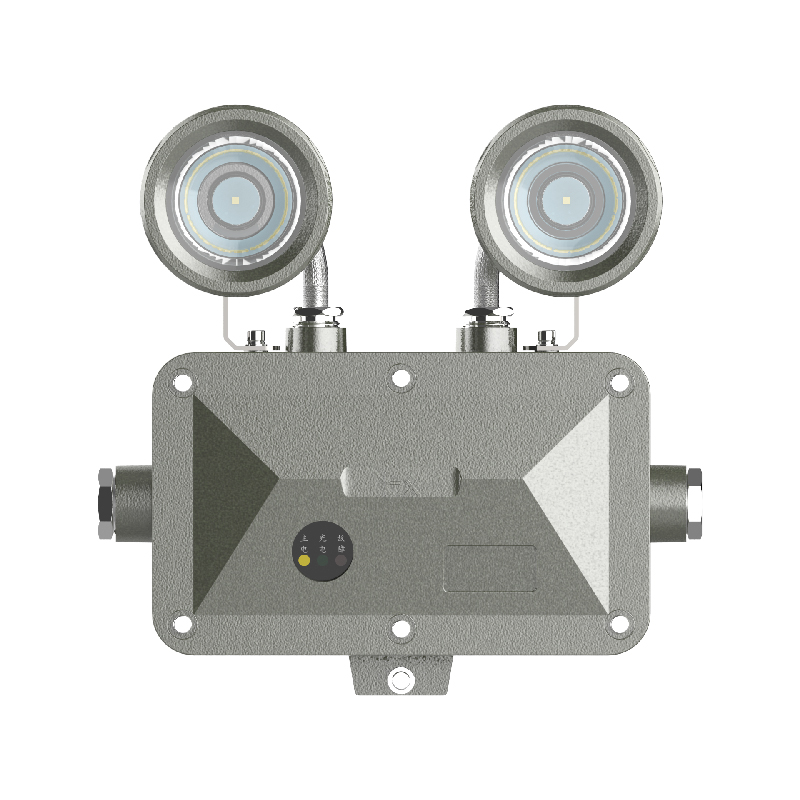 OHUI OH-ZFZC-E6W-OHBF8190 6W LED 消防应急照明灯具 IP66 DC36V 5700K高清大图
