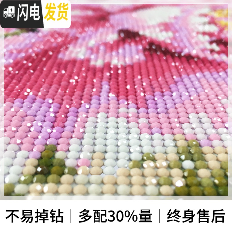 三维工匠5d餐厅花卉钻石画满钻2019年新款小幅清新简约现代客厅钻石十字绣 满钻小版50*60cm高清大图