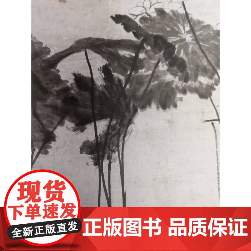 正版 八大山人绘画名品 中国书法名品八大山人山水花鸟六件董其昌艺术绘画美术技法上海书画出版社美术技法正版图书籍高清大图