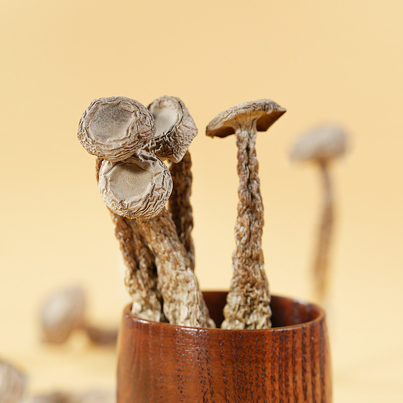 酥田一级鹿茸菇100克袋装国产菌菇干货营养丰富口感鲜美高清大图