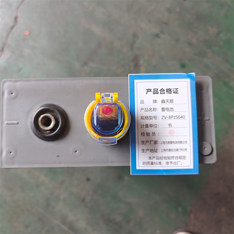 鑫天顺蓄电池 2V-8PzS640 节高清大图