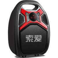 索爱蓝牙音箱广场舞音响手提音箱户外便携式K歌小型大功率叫卖家用地摊喊话收款码播放器T16X[带2个无线话筒]