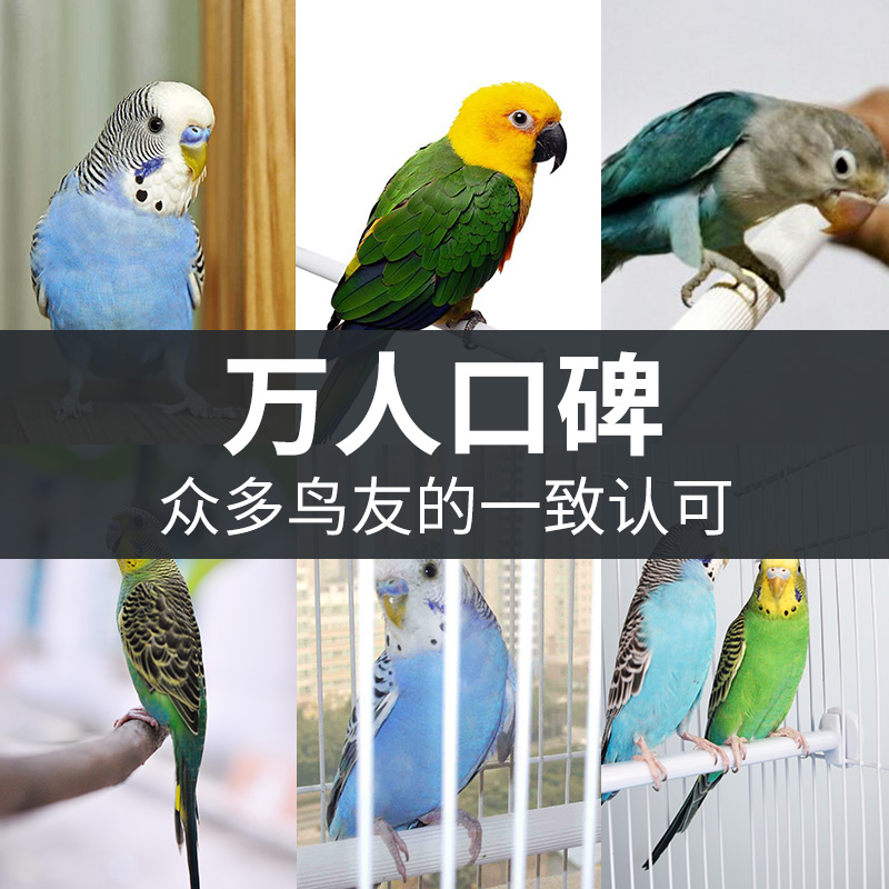 大号鸟笼子鹦鹉笼豪华虎皮玄凤牡丹八哥鹩哥相思鸟文鸟繁殖笼鸟高清大图