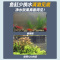 鱼缸净水剂一滴清水质净化剂特清洁清水清澈澄清剂杀菌除藻