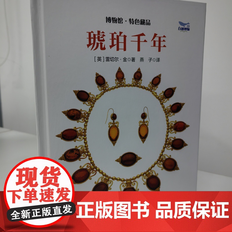 [央视网]琥珀千年 探索琥珀背后的历史文化与科学奥秘 带你领略琥珀从形成到收藏的全过程深度解析 琥珀的科学科普读物书籍高清大图