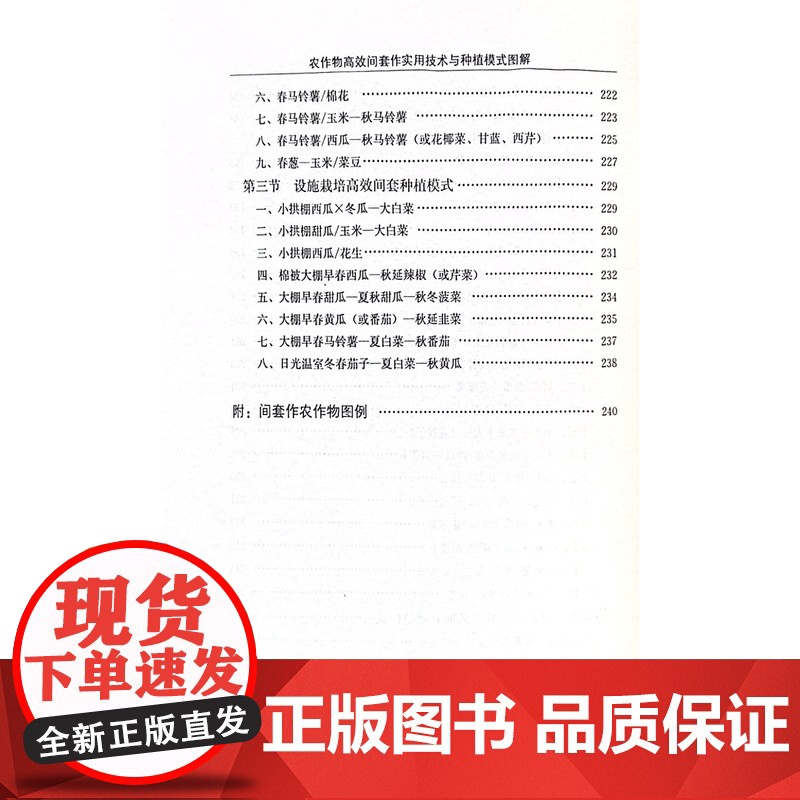 农作物高效间套作实用技术与种植模式图解 高丁石等编 9787109304079 30多种农作物间作套作栽培技术高清大图