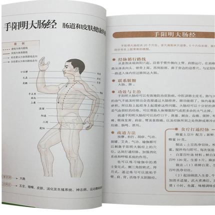 正版 图解人体经络使用手册 穴位按摩中医养生人体经络书籍 家庭中医保健养生书籍 中医养生经络使用手册 经络按摩百病消高清大图