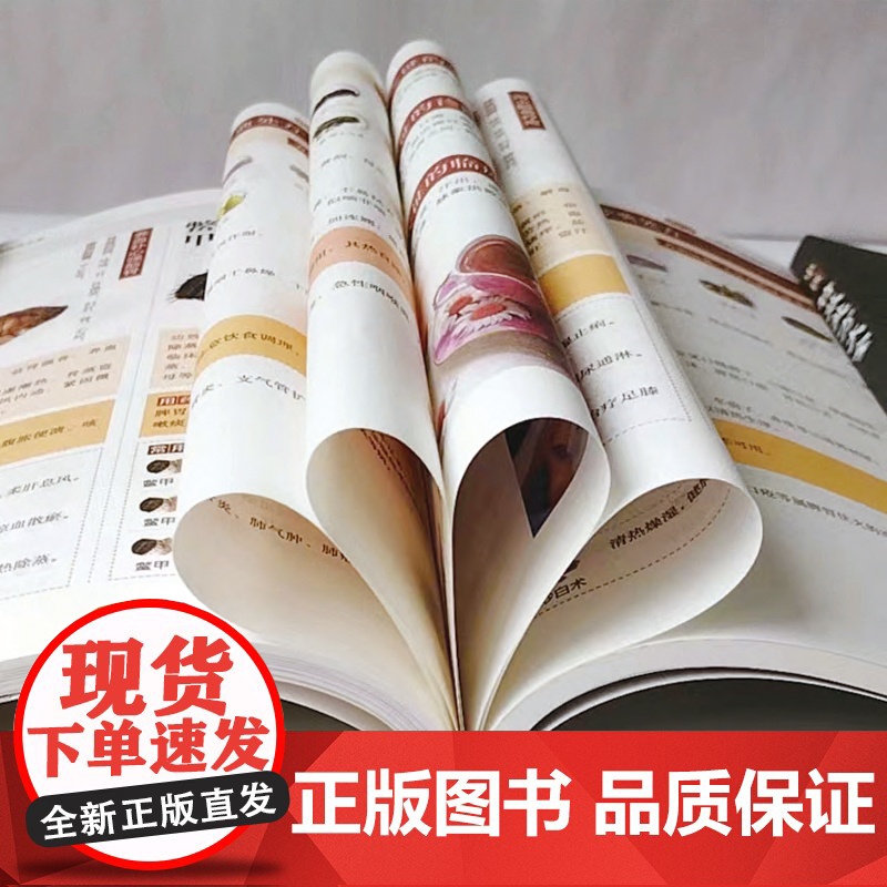 抖音同款]中医特效处方大全正版 活学活用经典中医养生健康调养补血补气书籍典启蒙养生方剂老偏方中医调理书籍秘方临床医学类书高清大图