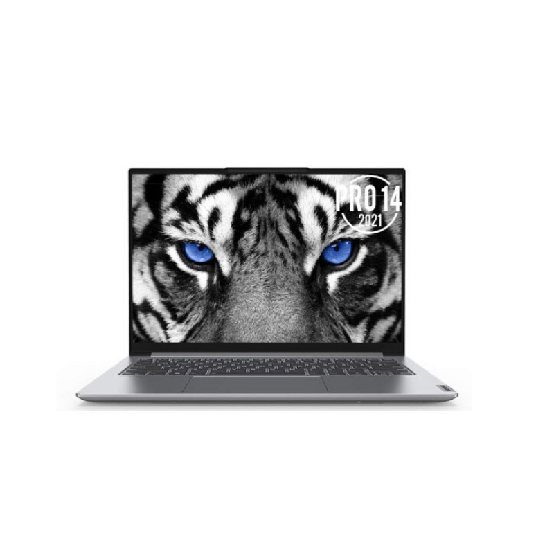 联想(Lenovo)小新pro14 14英寸笔记本电脑(I5 16GB 512G固态 MX450 2G独显 银色)