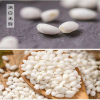 鲁强石磨源 糯米 500克 端午粽子米 江米 酥田袋装