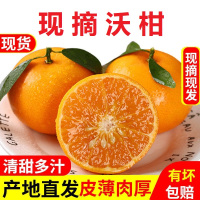 伍品汇 5斤装现摘沃柑中果新鲜水果（单果100克左右）