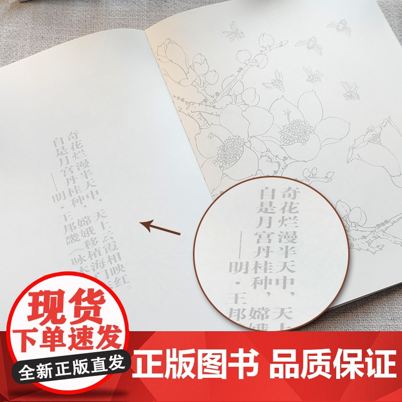 正版 吉祥花鸟线描 吴樵六著 国画临摹画册 工笔花鸟线描画 工笔画国画入门教程 白描底稿临摹 画画自学零基础艺术绘画高清大图