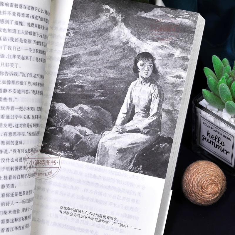 [正版]青春之歌 杨沫著红色经典丛书学校 现当代文学作品散文随笔精选长篇历史小说书青春文学励志书籍书排行榜高清大图