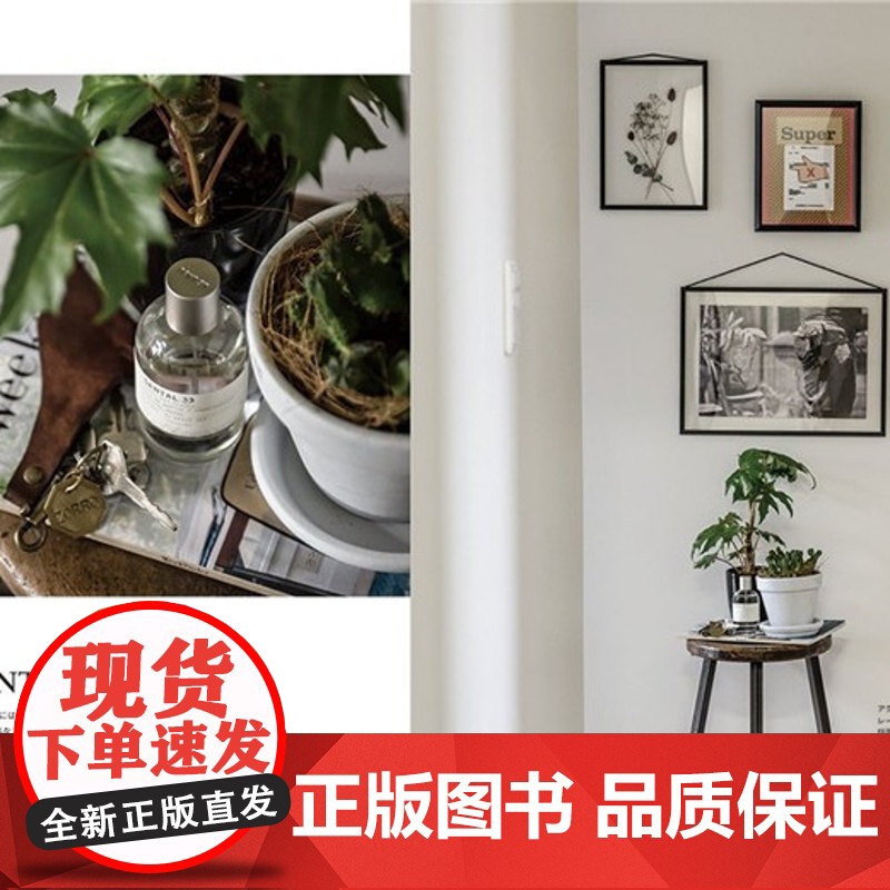 Deco Room with Plants the basics 与植物一起生活 基础装饰篇 植物作品集花艺设计师高清大图