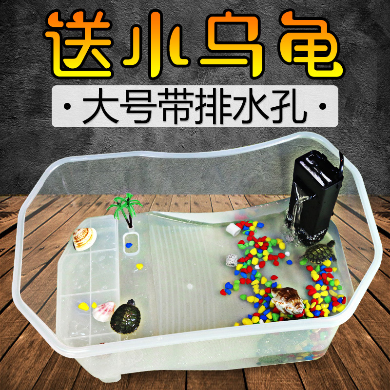塑料乌龟缸带晒台别墅 大号龟盆排水口 养大乌龟专用缸 水陆缸高清大图