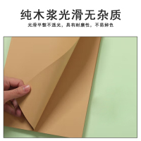 得力A4牛皮纸[100张/包 160克]5包起订 打印纸 凭证封面纸 绘图绘画纸 牛皮卡纸