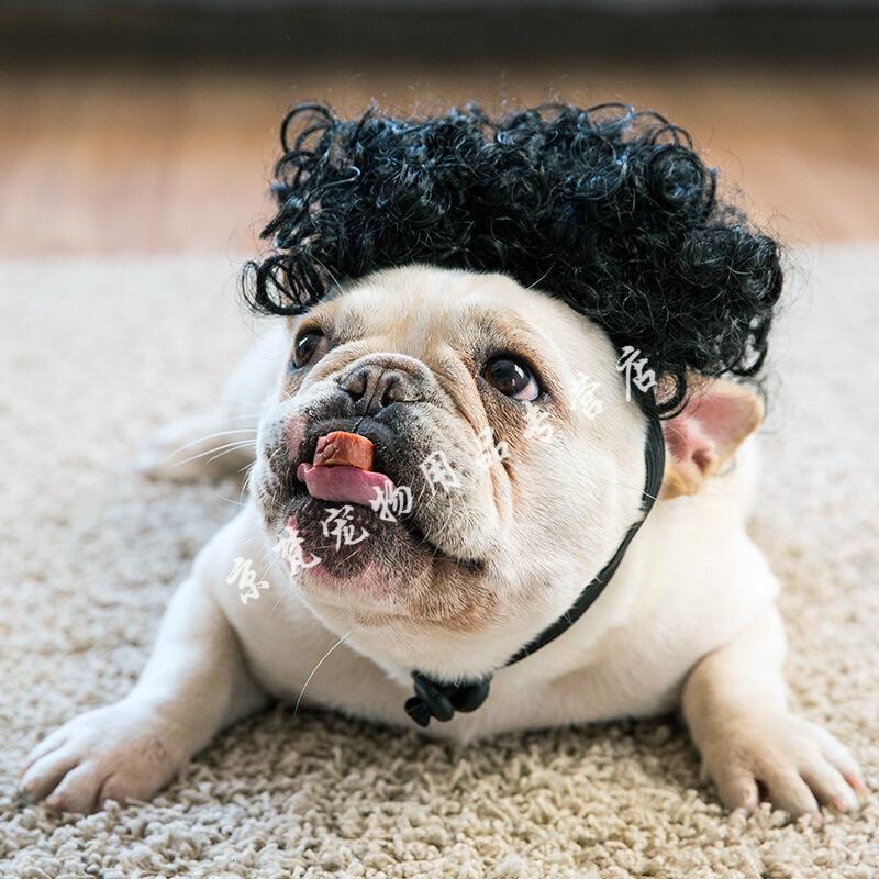 宠物头饰狗狗假猫咪搞笑造型鸡腿小龙女