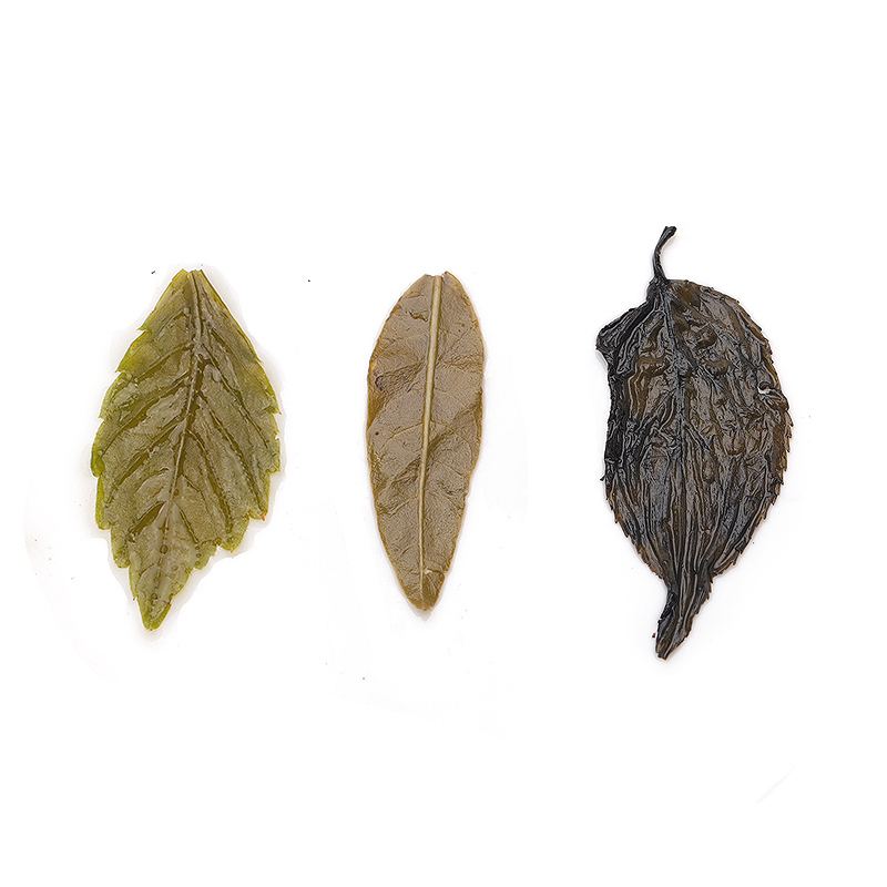 福东海 养生礼盒 七叶绞股蓝嫩叶胶股蓝杜仲茶罗布麻茶三种组合375克 中老年压茶养生茶降茶父母山高茶(HD)