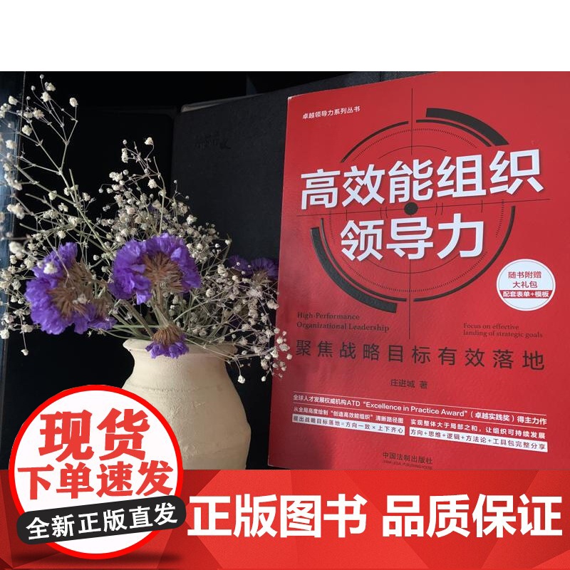 高效能组织领导力 庄进城 著 管理高清大图