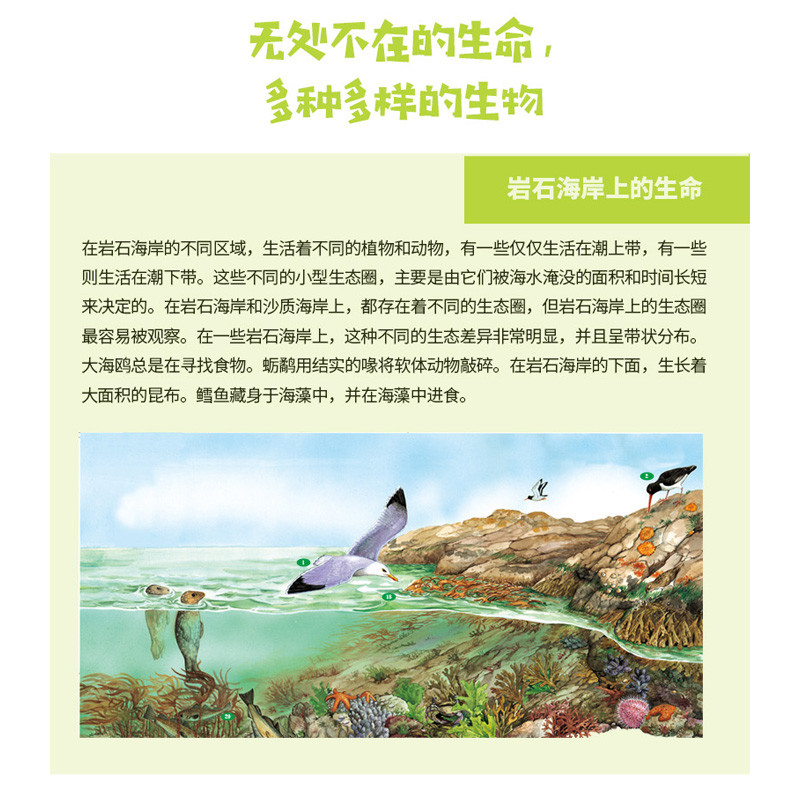 醉染图书发现之旅:生物的进化(动植物篇)9787518331451高清大图
