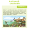 醉染图书发现之旅:生物的进化(动植物篇)9787518331451