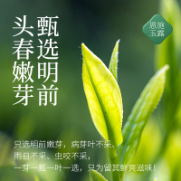 【新品】茶马世家2021新茶特级春茶恩施玉露明前蒸青绿茶75克