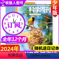 A[送日记本]少年版全年订阅2024年1-12月 [正版]全年/半年订阅少儿科学周刊少年版/儿童版杂志2024年1-6/